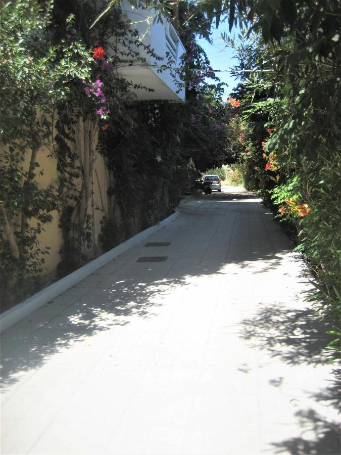 Corina Apartments Σητεία Εξωτερικό φωτογραφία