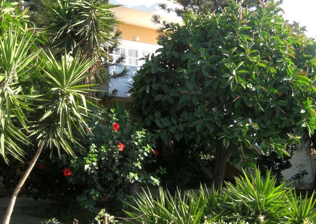 Corina Apartments Σητεία Δωμάτιο φωτογραφία